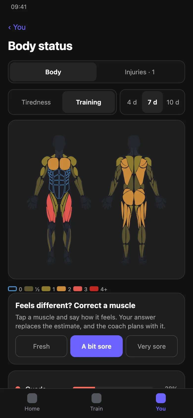 How often each muscle was trained in the last seven days. The Tiredness view shows what is rested.